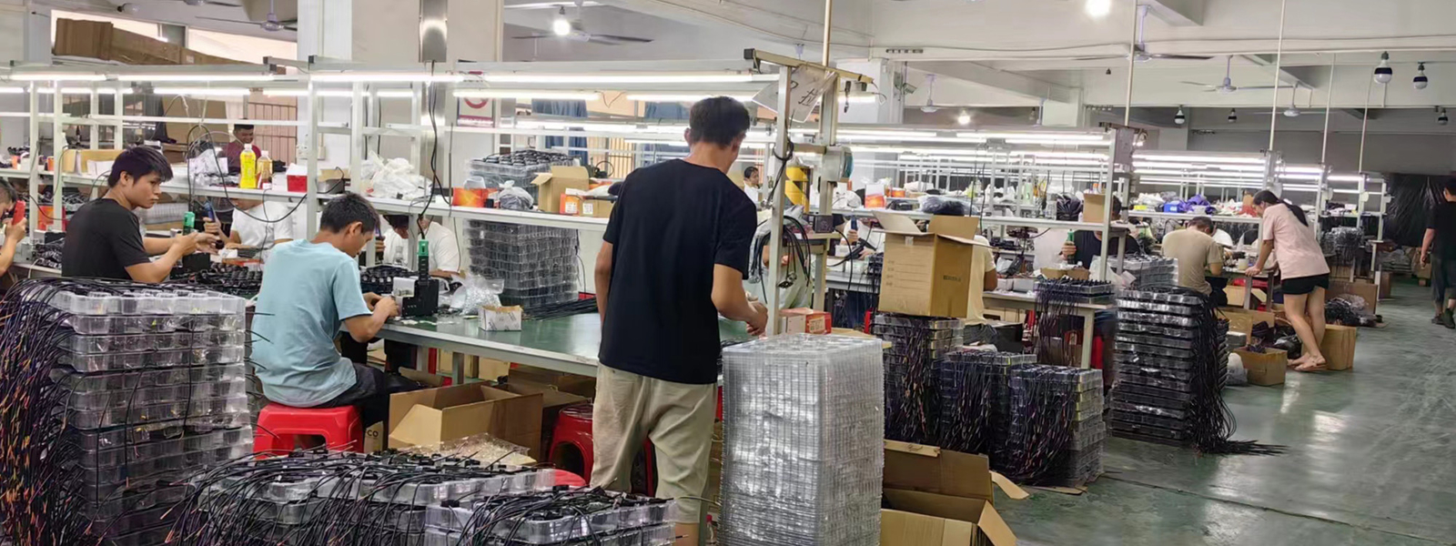 Guangzhou Baobao Lighting Co., Ltd. 제조업체의 생산 라인